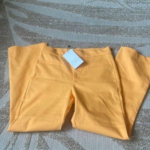 NWT Zara pants Size S